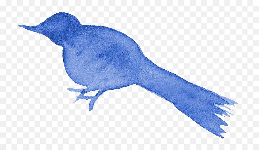 13 Watercolor Bird Silhouette Png Transparent Onlygfxcom - Blue Bird Drawing Png Emoji,Red Cardinal Bird Emoji