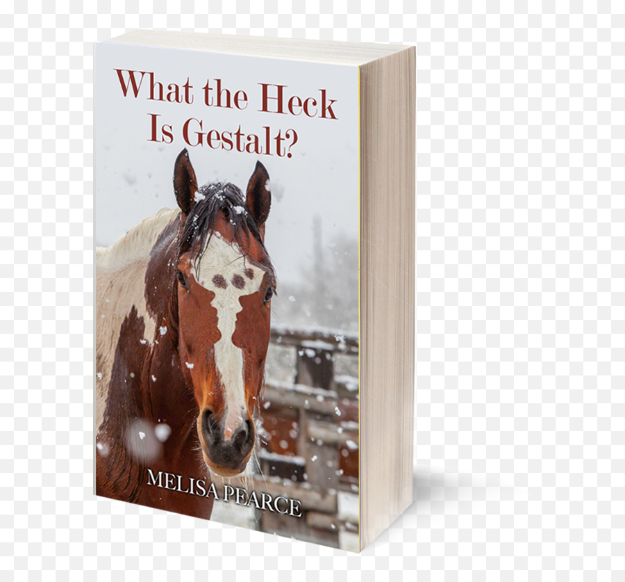 Meet Melisa Pearce - Horse Supplies Emoji,Horse Emotions Printable Encyclopedia