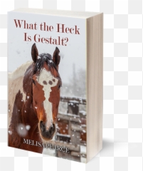 Meet Melisa Pearce - Horse Supplies Emoji,Horse Emotions Printable Encyclopedia