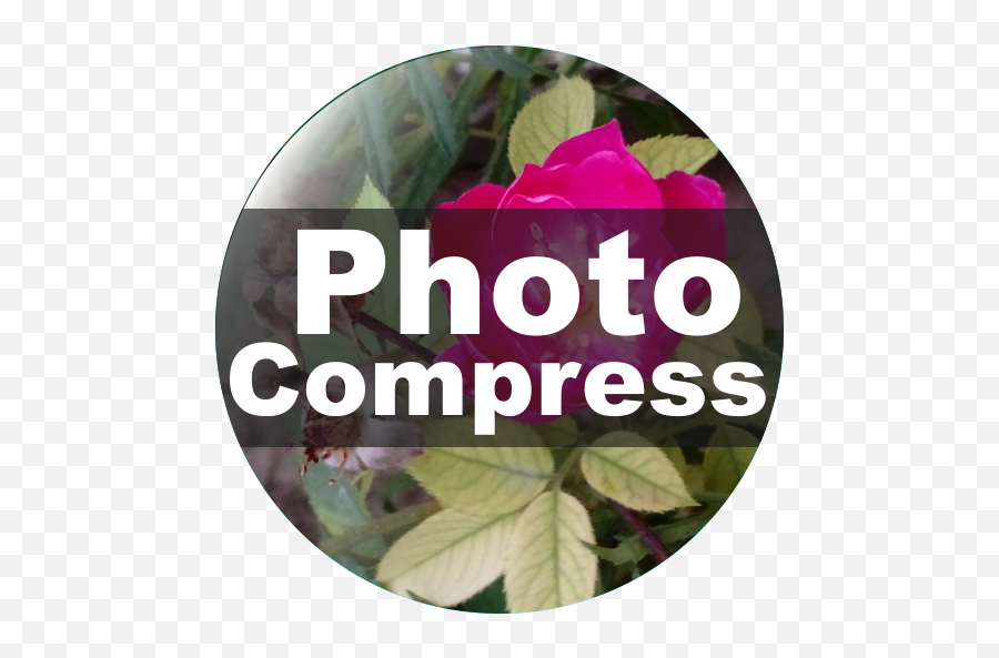 Photo Compress 2 - Grey Color Of Depression Emoji,Emoji Movie Compressed To 50 Mb