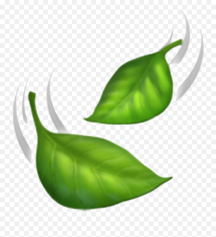 Leaves Emoji Clipart - Full Size Clipart 3287904 Pinclipart Iphone Leaf Emoji,Fall Emoji