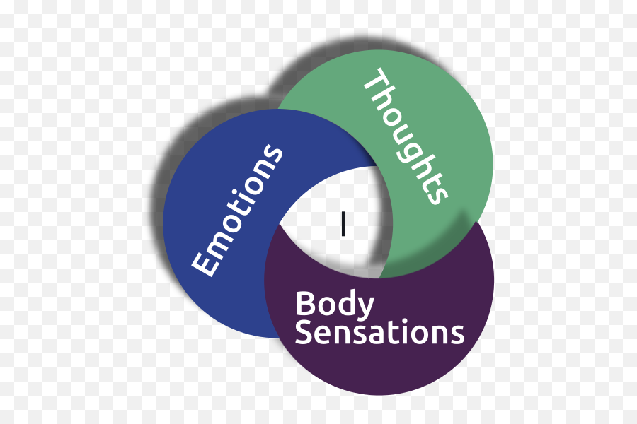 Tim Cools - Mindfulness Thoughts Emotions Sensations Emoji,Emotions Stored In The Body