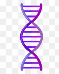 Dna Clipart Free Download Transparent Png Creazilla - Double Helix Simple Drawing Emoji,Dna Emoji