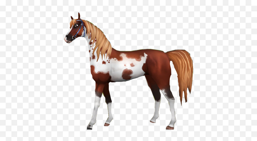 Sso Horse Sticker By Vsco Girl - Sorrel Emoji,Horse Emoji App