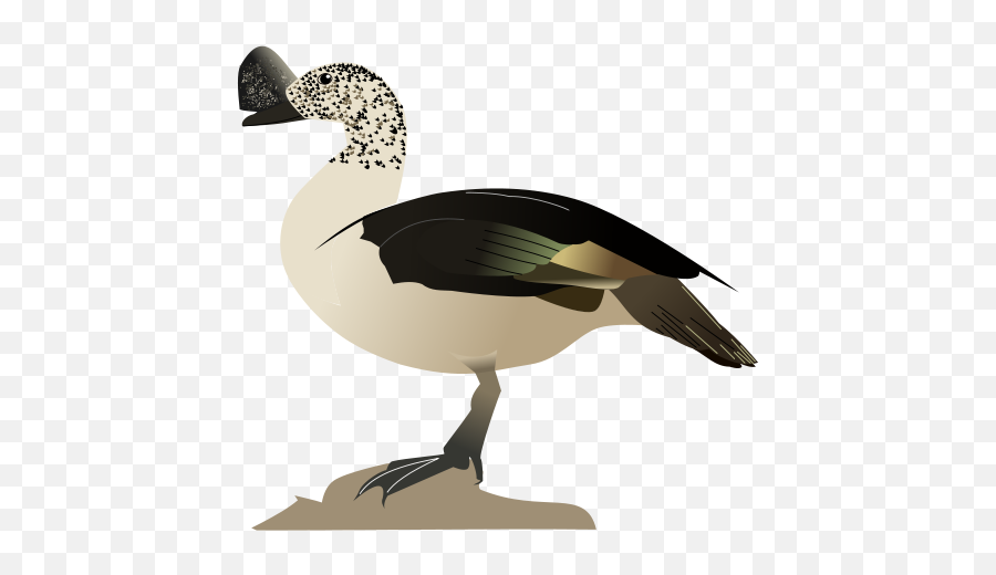 Filecomb Ducksvg - Wikimedia Commons Emoji,:ducky Emoji