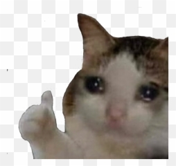 Sadcatthumbsup - Discord Emoji Crying Cat Thumbs Up Meme Template,Crying Emoji Meme
