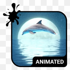 Dolphin Animated Keyboard Live - Icon Emoji,Dolphin Emoji Android