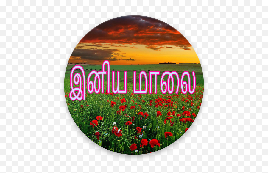 Tamil Good Evening Images Sms - Apps On Google Play Good Evening Images In Tamil Emoji,Good Evening Emoji