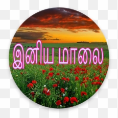 Tamil Good Evening Images Sms - Apps On Google Play Good Evening Images In Tamil Emoji,Good Evening Emoji