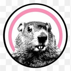 Synergy U2013 The Groundhog - Groundhog Day Emoji,Emoticon Eggroll