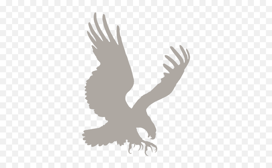 Eagle Statues Emoji,The Emotions Of Eagles