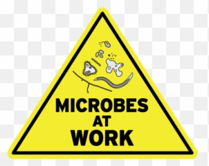 Salus - Integrative Health Microbes Benefits Emoji,Minions Emotion Png
