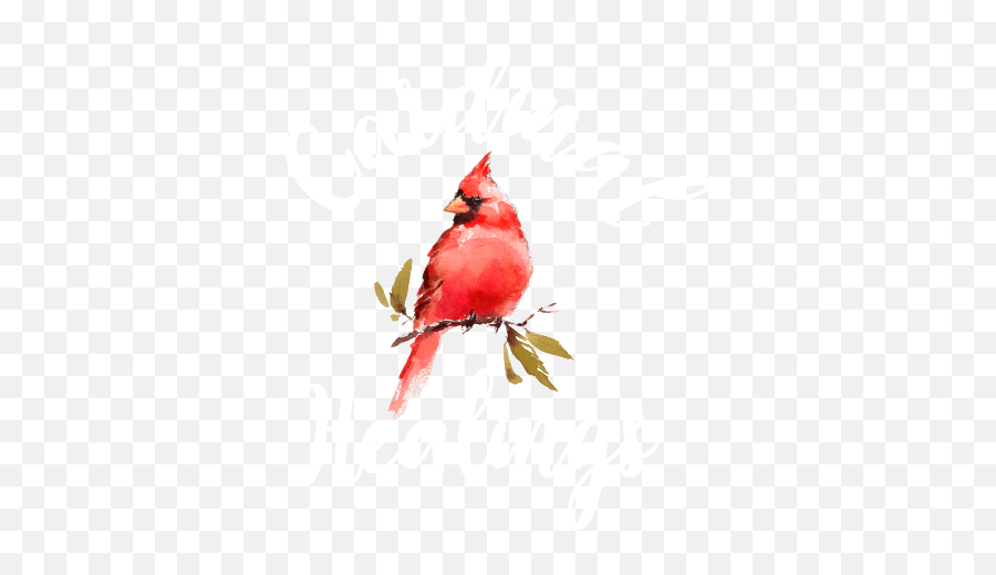 Services U2014 Cardinal Healings Emoji,Red Bird Emotion Angry Bird