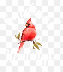 Services U2014 Cardinal Healings Emoji,Red Bird Emotion Angry Bird