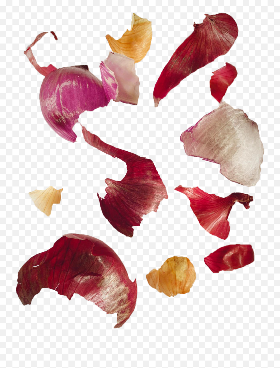 Food Waste Into Restaurant Materials - Irises Emoji,Onion Emotion