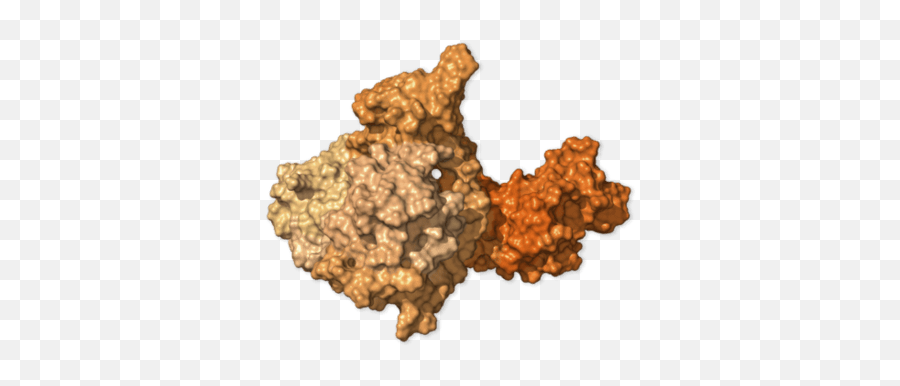 Scientists Model The 29 Coronavirus Proteins We Have Emoji,Work Emotion Et7