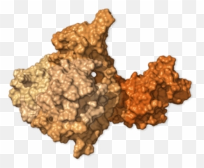 Scientists Model The 29 Coronavirus Proteins We Have Emoji,Work Emotion Et7