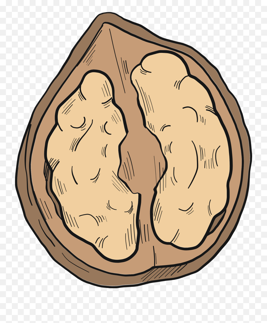 Walnut Clipart - Big Emoji,Walnut Emoji