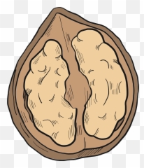 Walnut Clipart - Big Emoji,Walnut Emoji