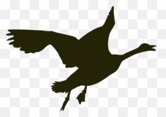 Ganso Graphics To Download Emoji,Heron Emoji