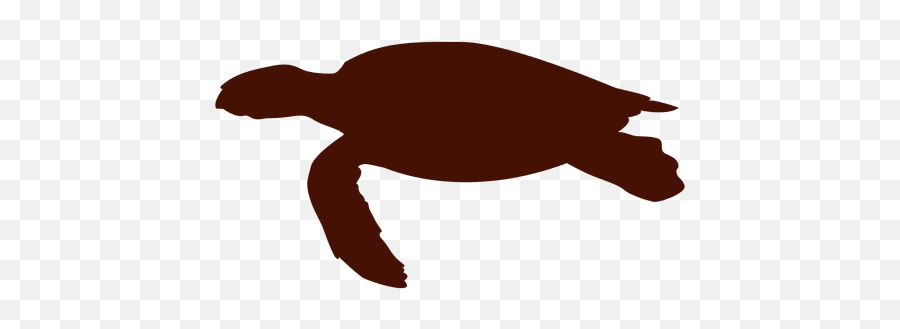 Sea Turtle Png U0026 Svg Transparent Background To Download Emoji,Turtle Emoji On My Device