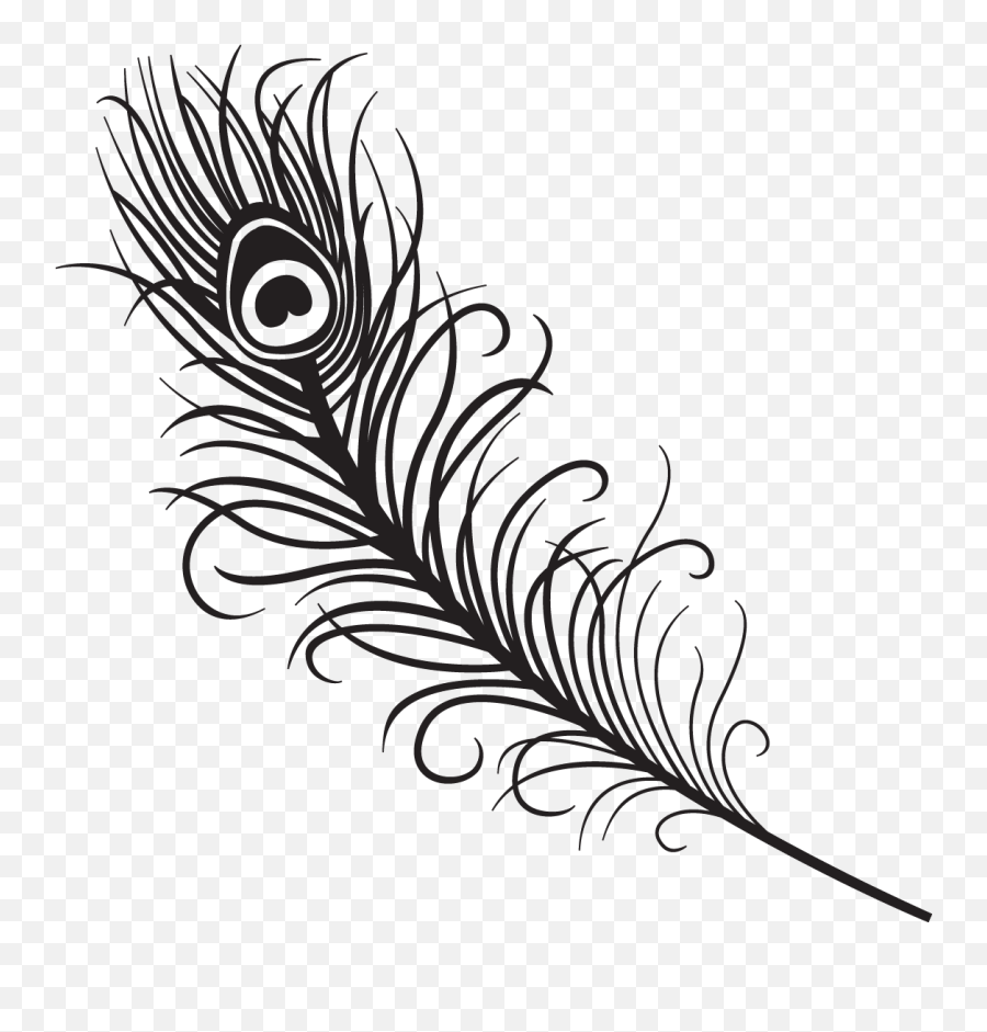 Free Feather Images Black And White Download Free Clip Art - Peacock Feather Drawing Png Emoji,Feather Emoticon