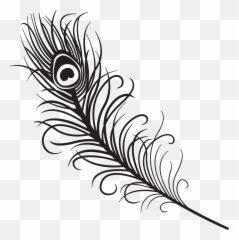 Free Feather Images Black And White Download Free Clip Art - Peacock Feather Drawing Png Emoji,Feather Emoticon