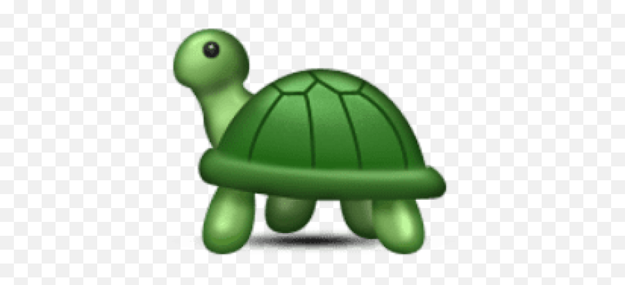 Download Hd Free Png Ios Emoji Turtle - Emoji Turtle,Ios Moon Emoji