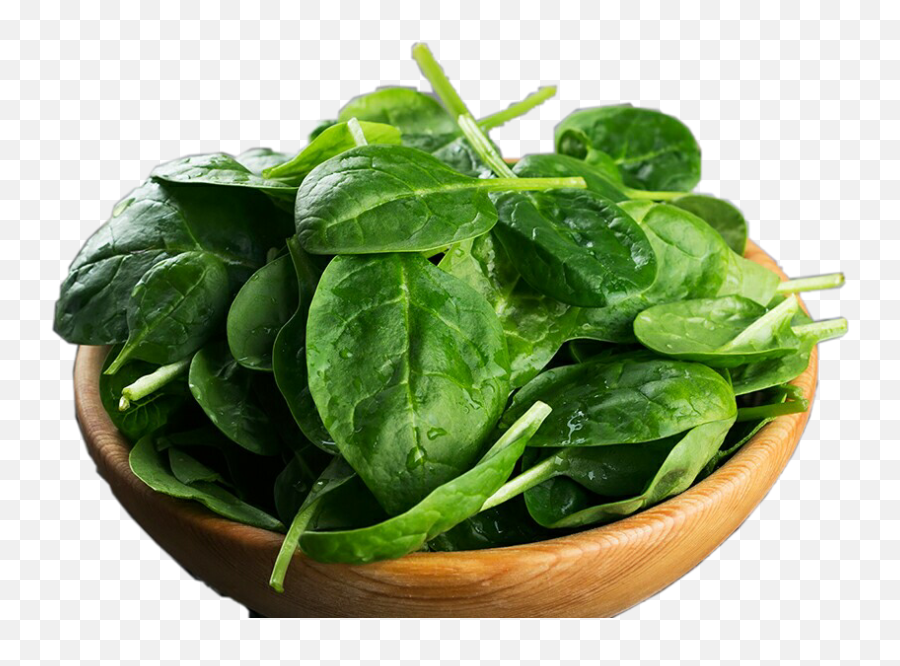 Spinach Leaves Green Bowl Greens - Bowl Emoji,Spinach Emoji