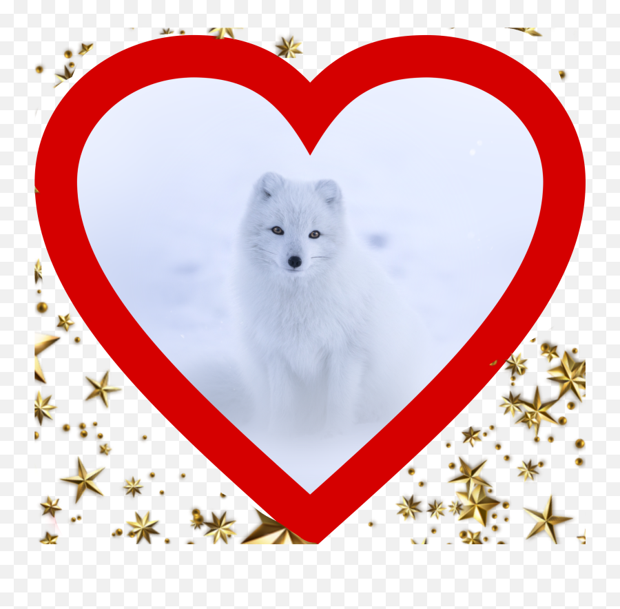 The Most Edited - Northern Breed Group Emoji,Arctic Fox Emoji