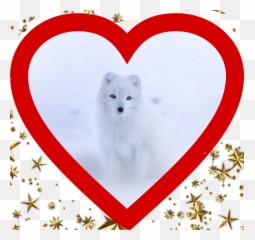 The Most Edited - Northern Breed Group Emoji,Arctic Fox Emoji