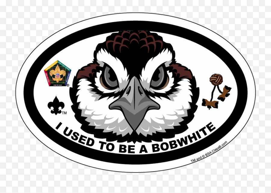 Oval Woodbadge Wood Badge Bobwhite Pin - Bobwhite Wood Badge Emoji,Football Badge Emoji