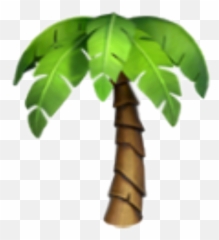 Palm Tree Emoji Transparent Png Image - Palm Tree Emoji Png,Iphone Emoji Transparent