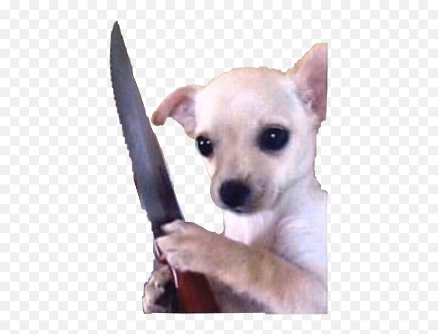 The Most Edited Fightme Picsart - Stickers De Perros Memes Emoji,Dog Emoticon With Knife Transparent