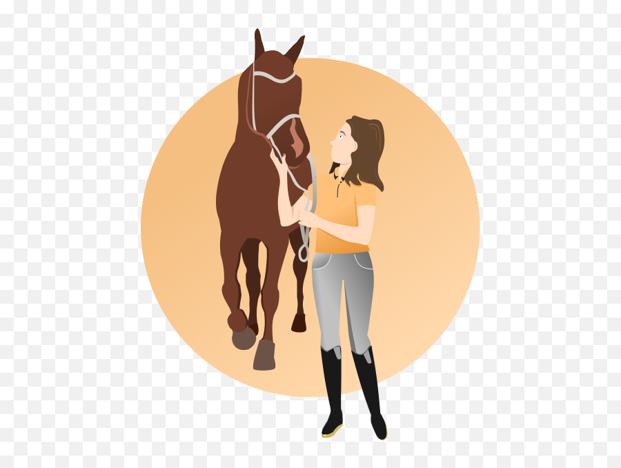 Home - Horse Cryochamber Halter Emoji,Riding On A Horse Emoji