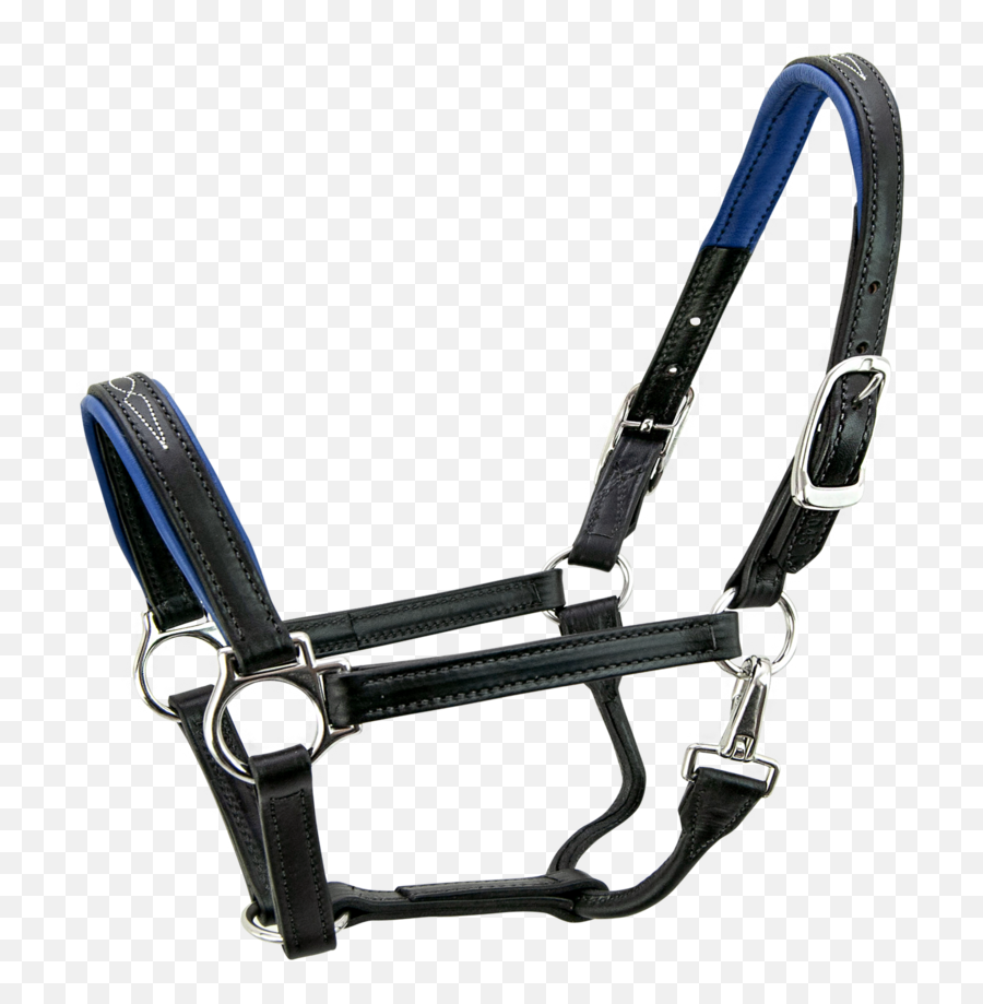 Signature Pony Halter - S5000py Horse Halter Leather Blue Emoji,Pony Emotion Chart