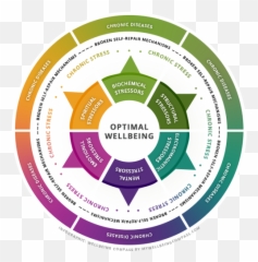 Spiritual Stressors Emoji,Emotions And Spirituality