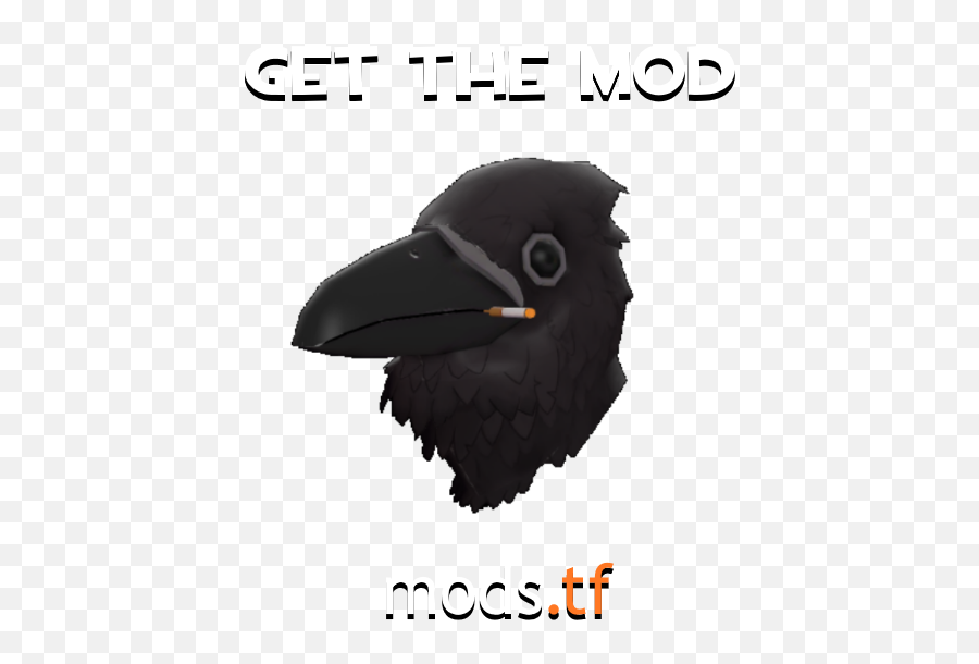 Avian Amante - Avian Amante Tf2 Emoji,Team Fortress 2 Emojis