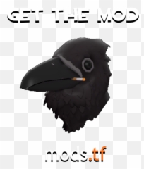 Avian Amante - Avian Amante Tf2 Emoji,Team Fortress 2 Emojis