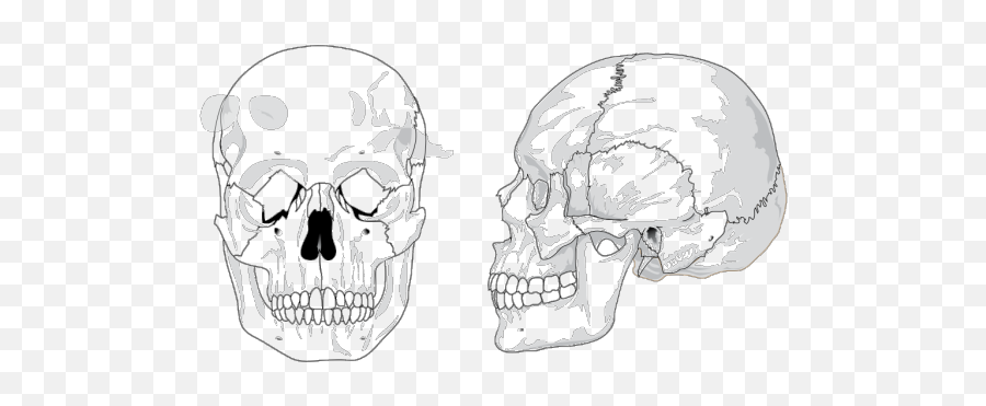 Skull Png Images Icon Cliparts - Download Clip Art Png Emoji,Skull And Cross Bones Text Based Emoticons