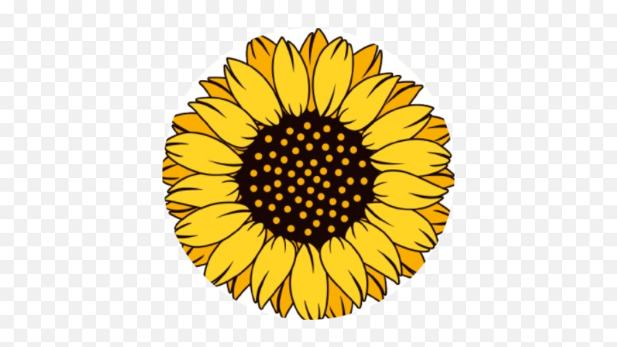 Sunflower Finance Arbitrage Opportunities Cryptorankio Emoji,Aesthetic Sun Emoji