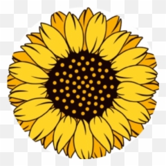 Sunflower Finance Arbitrage Opportunities Cryptorankio Emoji,Aesthetic Sun Emoji