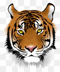 Tiger Wild Face Clipart Png Download - Cabeza De Tigre Png Emoji,Tiger Face Emoji