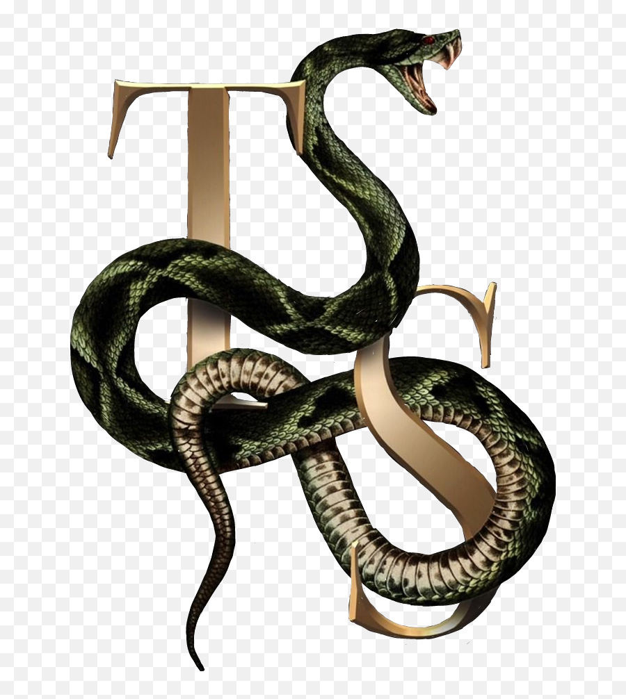 Эмодзи змея. Стикеры Snake. Змеи Стикеры телеграм. Zmeya Emoji PNG. Lordandtaylor PNG logo.