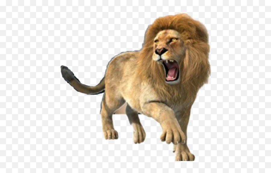 Lion Roar Roaringlion Animals Sticker By Wendy - Lion Full Body Emoji,Roar Emoji