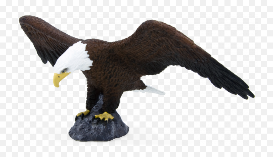 Mojo - Mojo Eagle Emoji,The Emotions Of Eagles