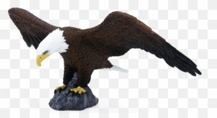 Mojo - Mojo Eagle Emoji,The Emotions Of Eagles