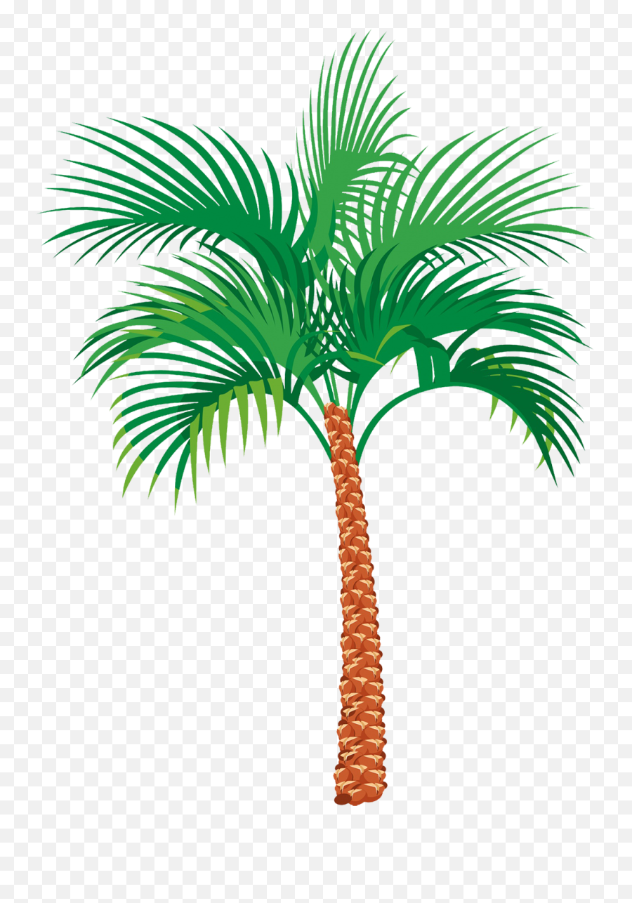 Palm Tree Clipart Png Emoji,Download Emoji For Palm Trees