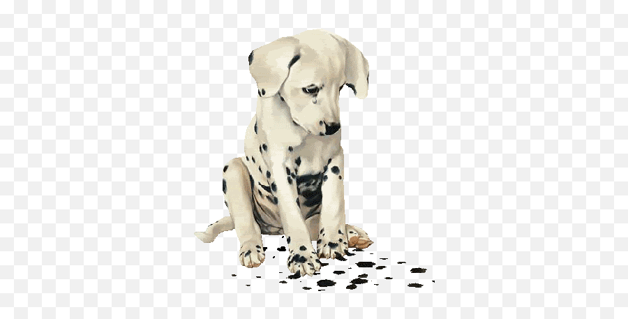 Xn0mg6cju49gif 350400 Animated Animals Animals - Puppy I Love You Blingee Emoji,Wildlife Emojis Discord