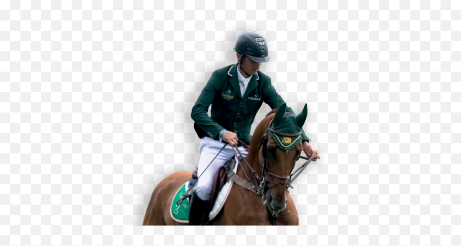 Ambassadors Trm Ireland - Halter Emoji,Riding On A Horse Emoji